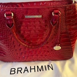 Brahmin Purse